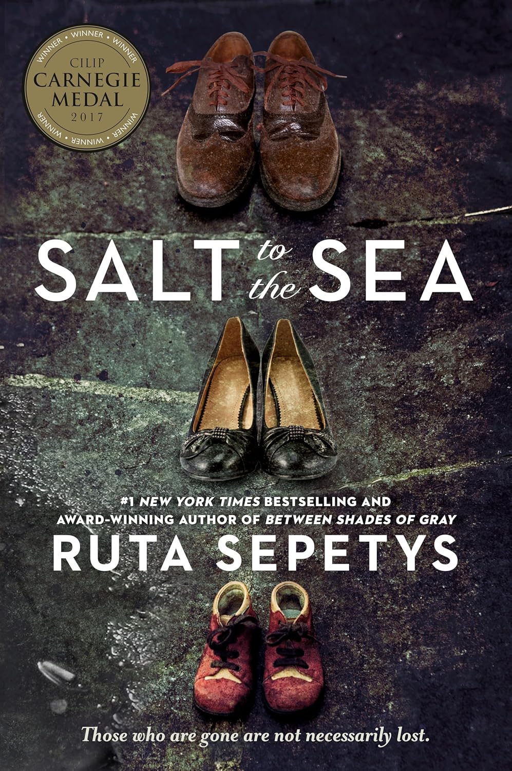 Salt to the Sea by Ruta Sepetys (#1 New York Times bestseller and Carnegie Medal winner!)