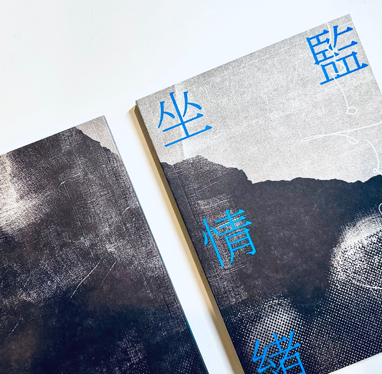 坐監情緒學 - 邵家臻