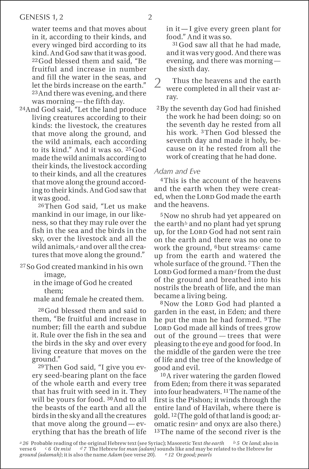 NIV, Holy Bible, Larger Print, Paperback by Zondervan