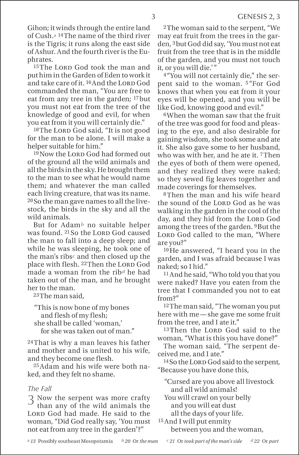 NIV, Holy Bible, Larger Print, Paperback by Zondervan