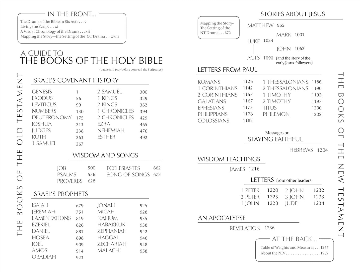 NIV, Holy Bible, Larger Print, Paperback by Zondervan