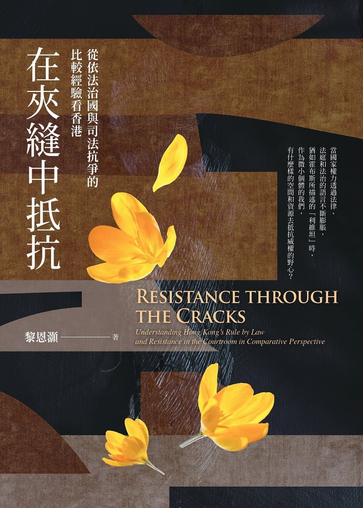 在夾縫中抵抗:從依法治國與司法抗爭的比較經驗看香港 Resistance through the Cracks-Starry Ferry Books