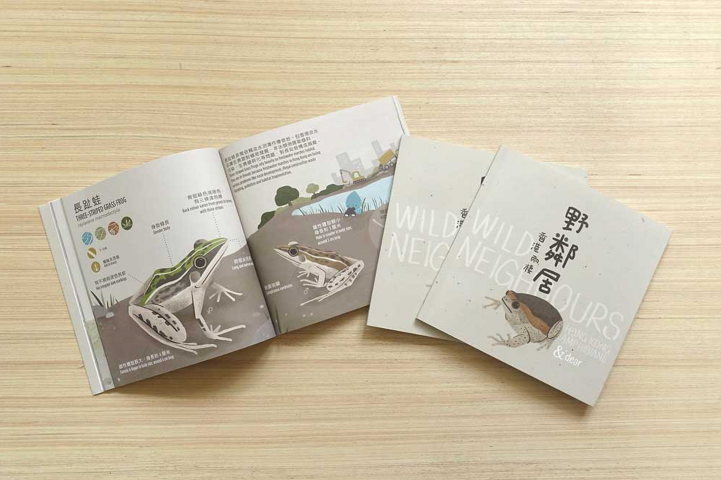 《野鄰居 – 香港兩棲》第一本香港兩棲動物繪本