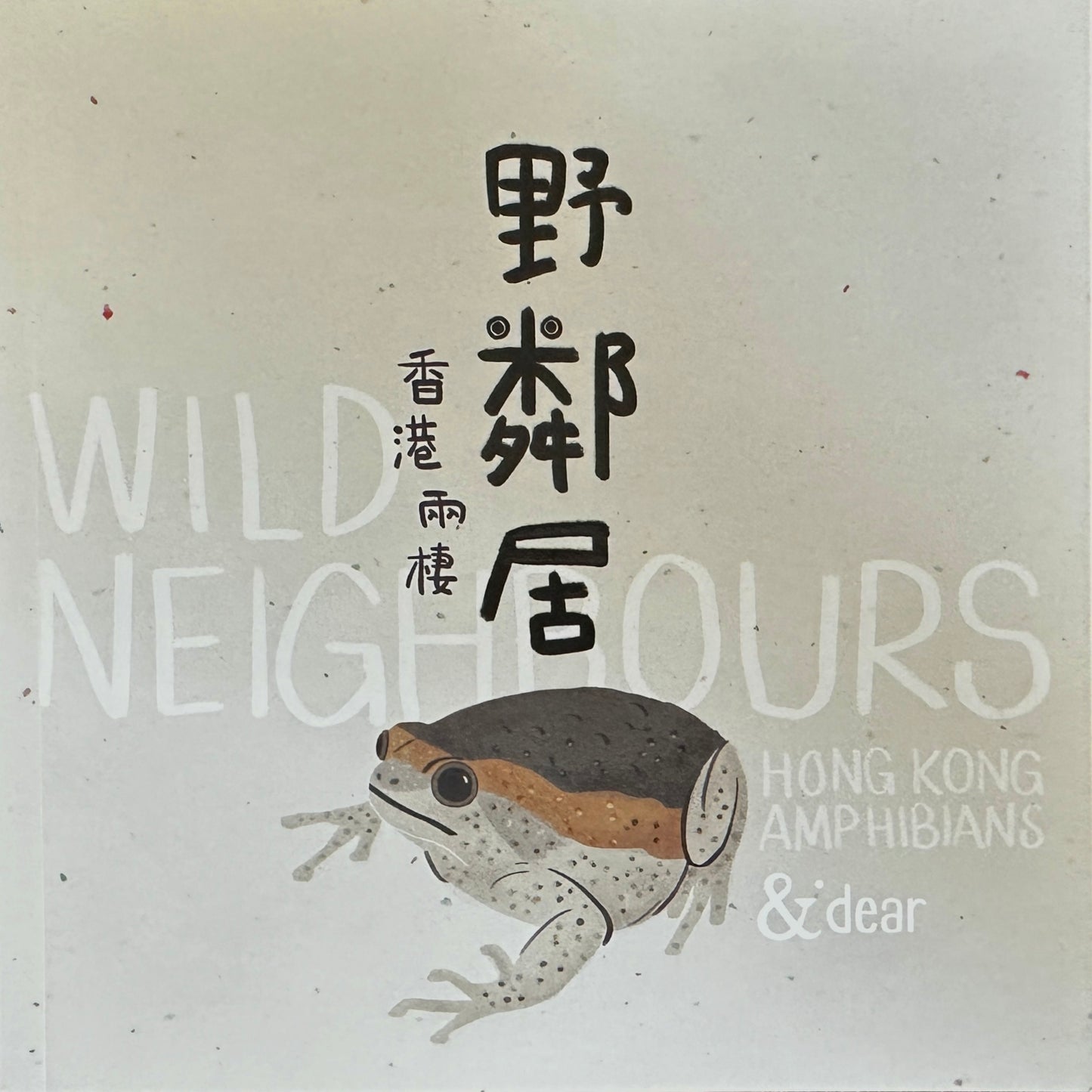 《野鄰居 – 香港兩棲》第一本香港兩棲動物繪本