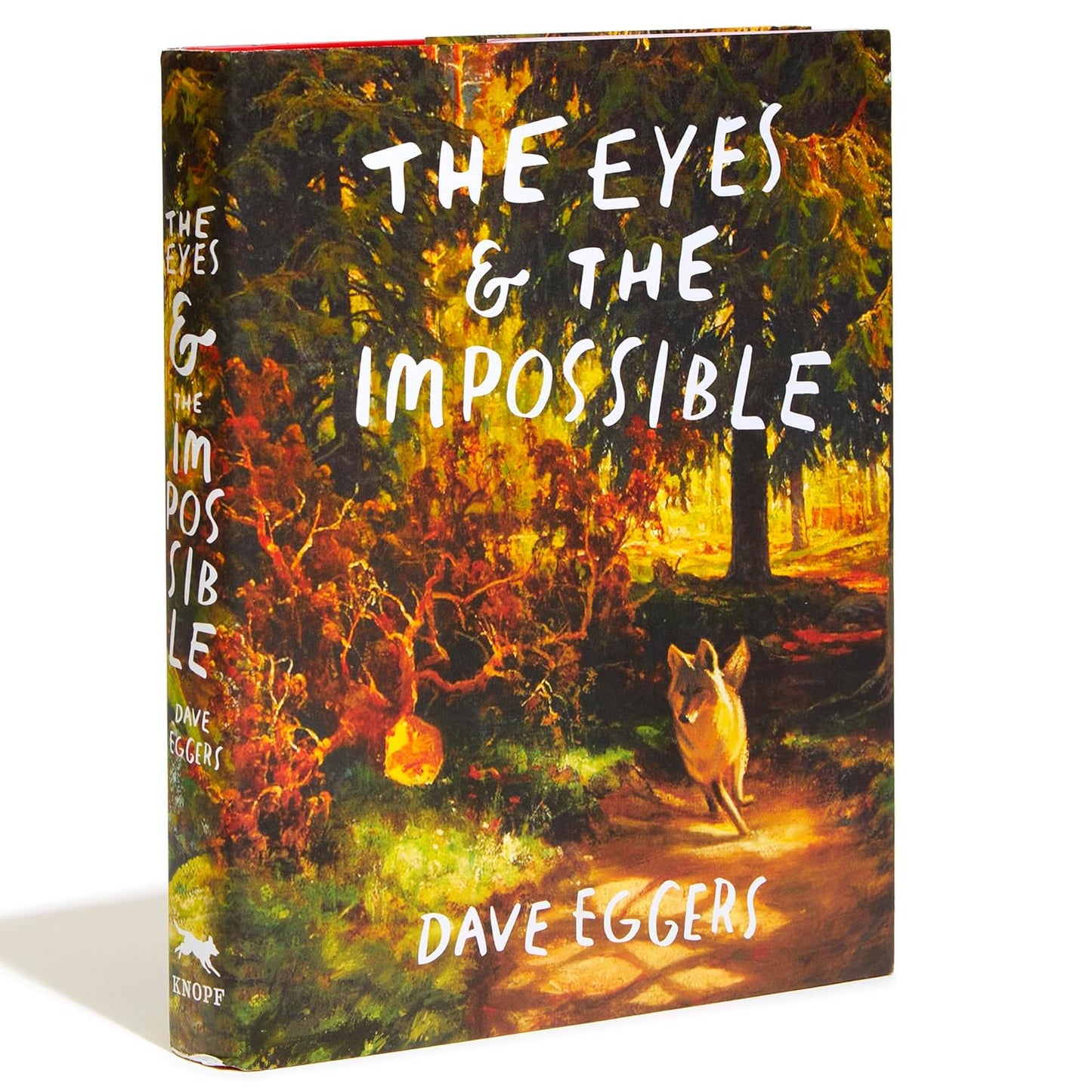 The Eyes and the Impossible (Newbery Medal Winner)