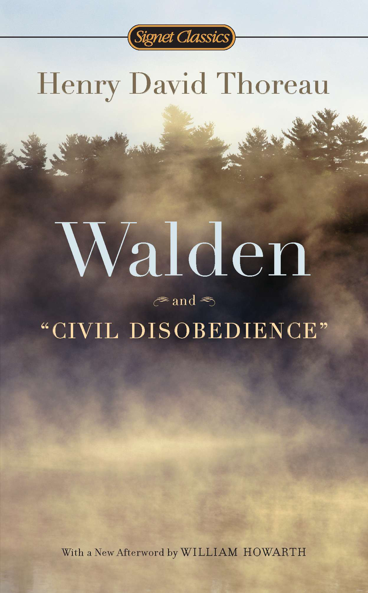 Walden and Civil Disobedience - StarryFerryBooks