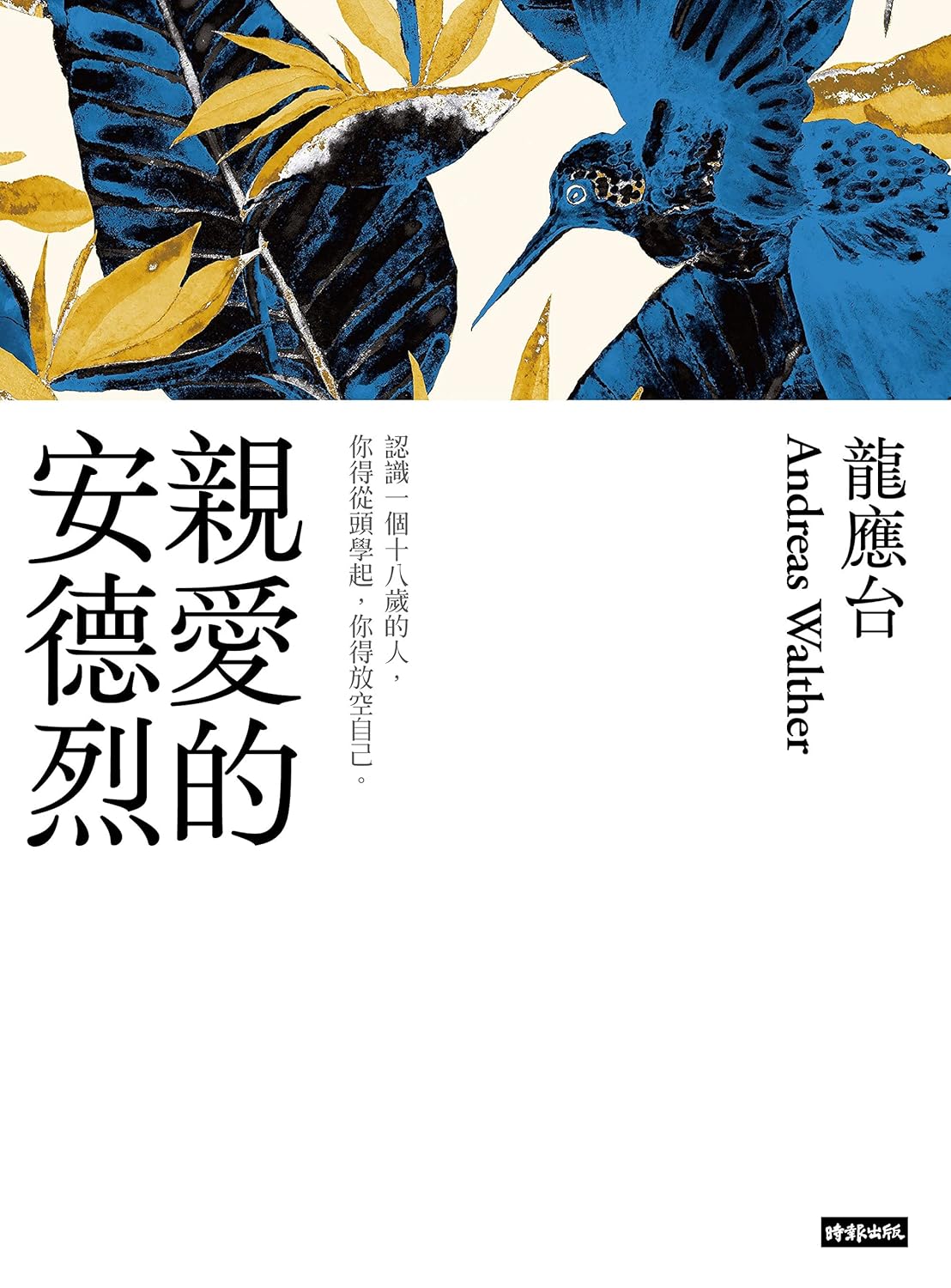 親愛的安德烈-龍應台-StarryFerryBooks-星渡書店