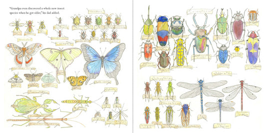 The Great Whipplethorp Bug Collection