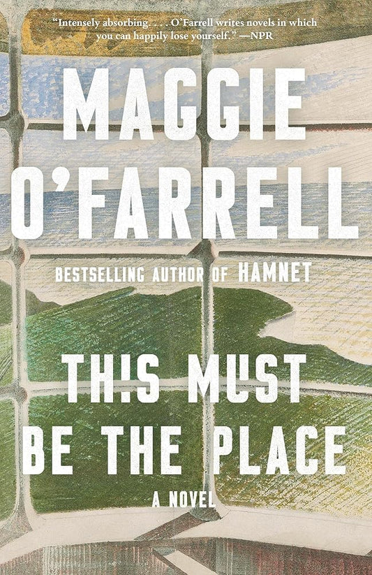 This Must Be the Place (Vintage Contemporaries) cover image