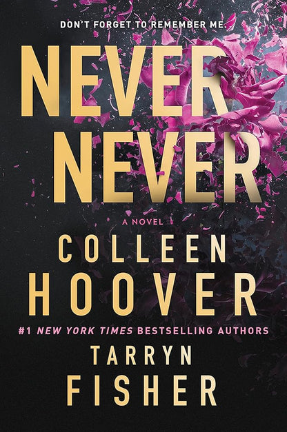 Never Never: A twisty and devastating romantic mystery cover image