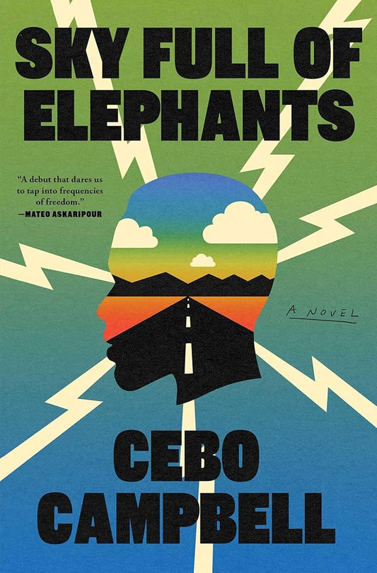 Sky Full of Elephants: A Novel cover image