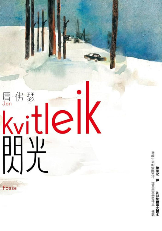 閃光 cover image