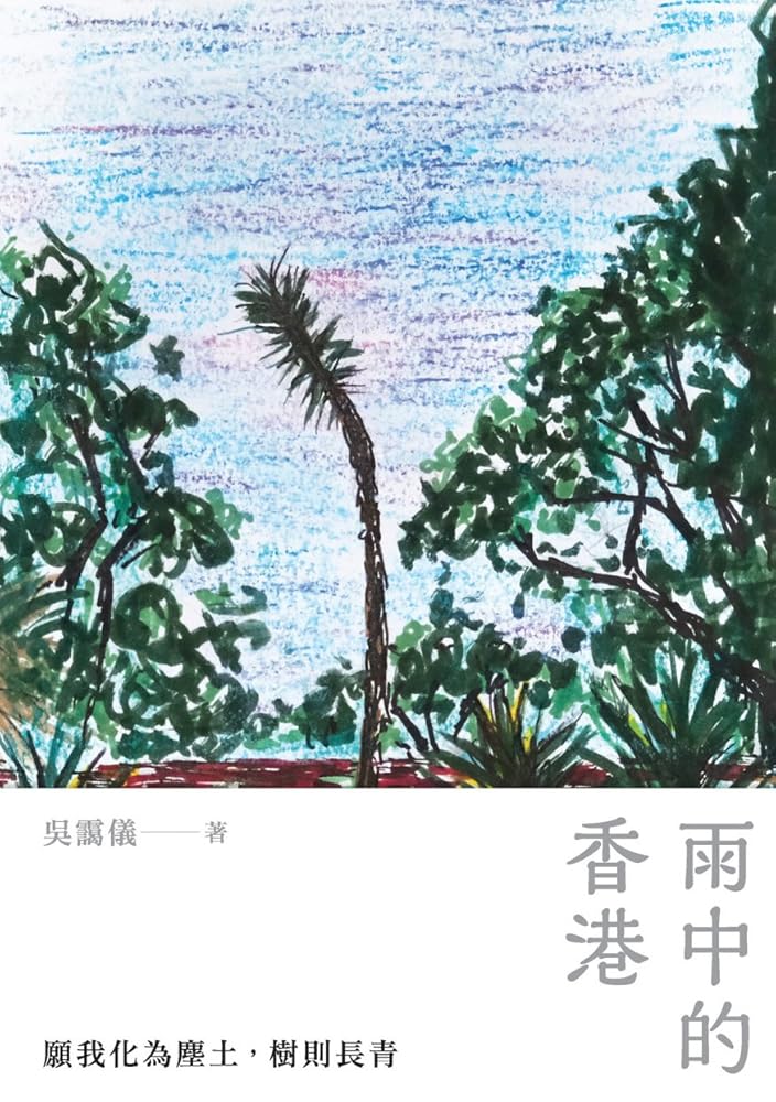 雨中的香港 cover image
