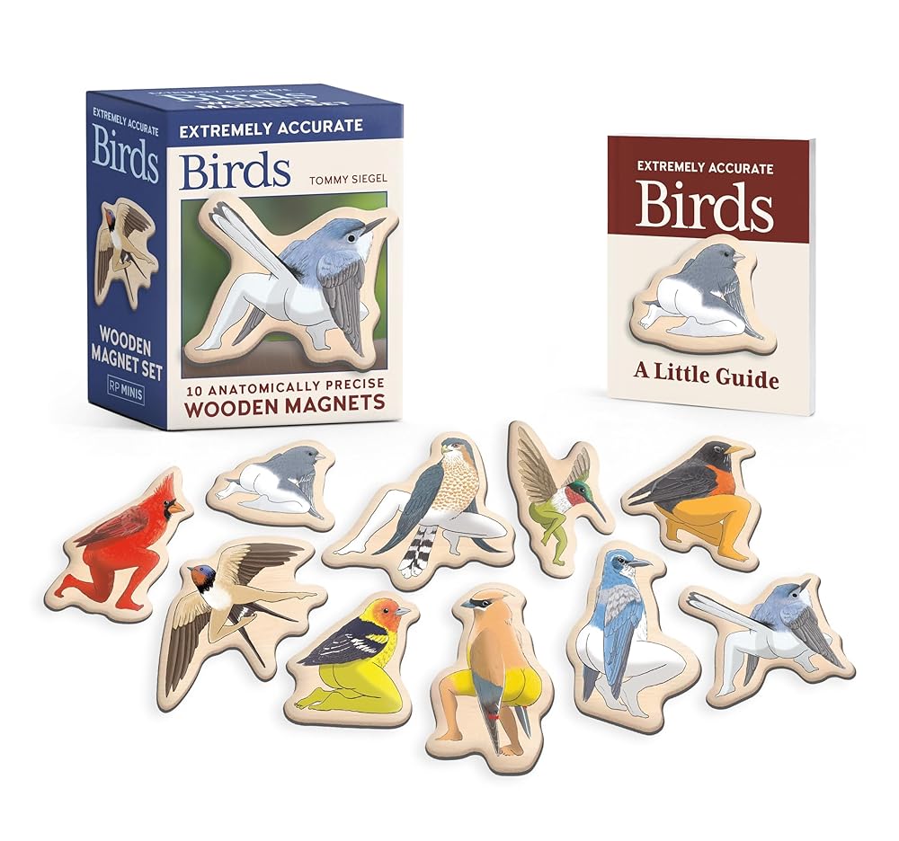 Extremely Accurate Birds Wooden Magnet Set: 10 Anatomically Precise Magnets (RP Minis) cover image
