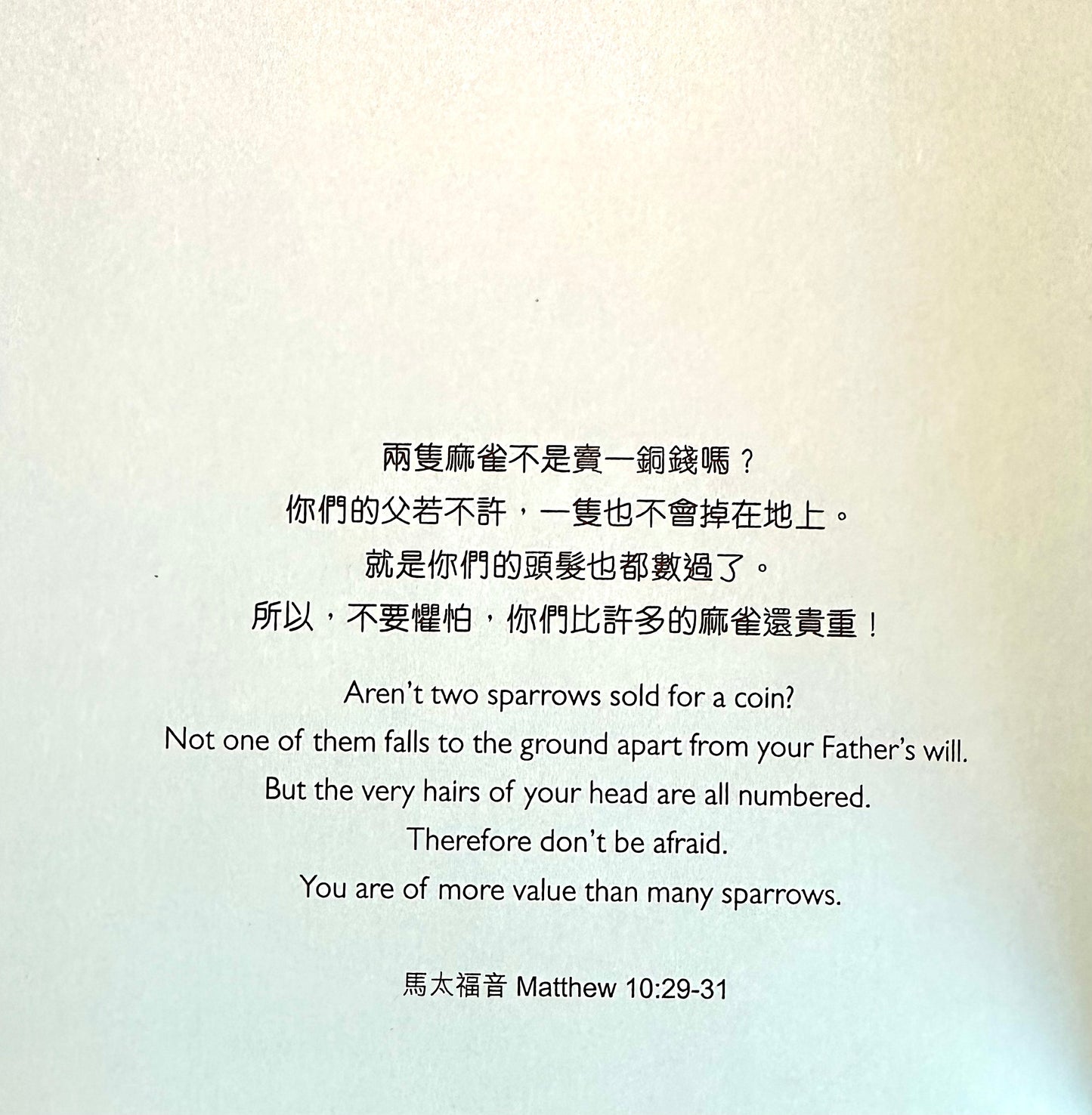 上帝的故事花園 (中英對照) : 最受歡迎的兒童聖經故事 Best-Loved Bible Stories (Hardcover)