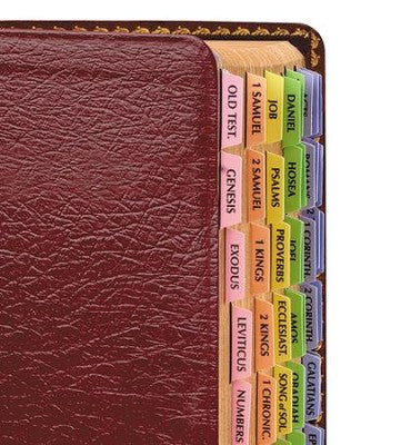 Rainbow Bible Tabbies - For Holy Bible