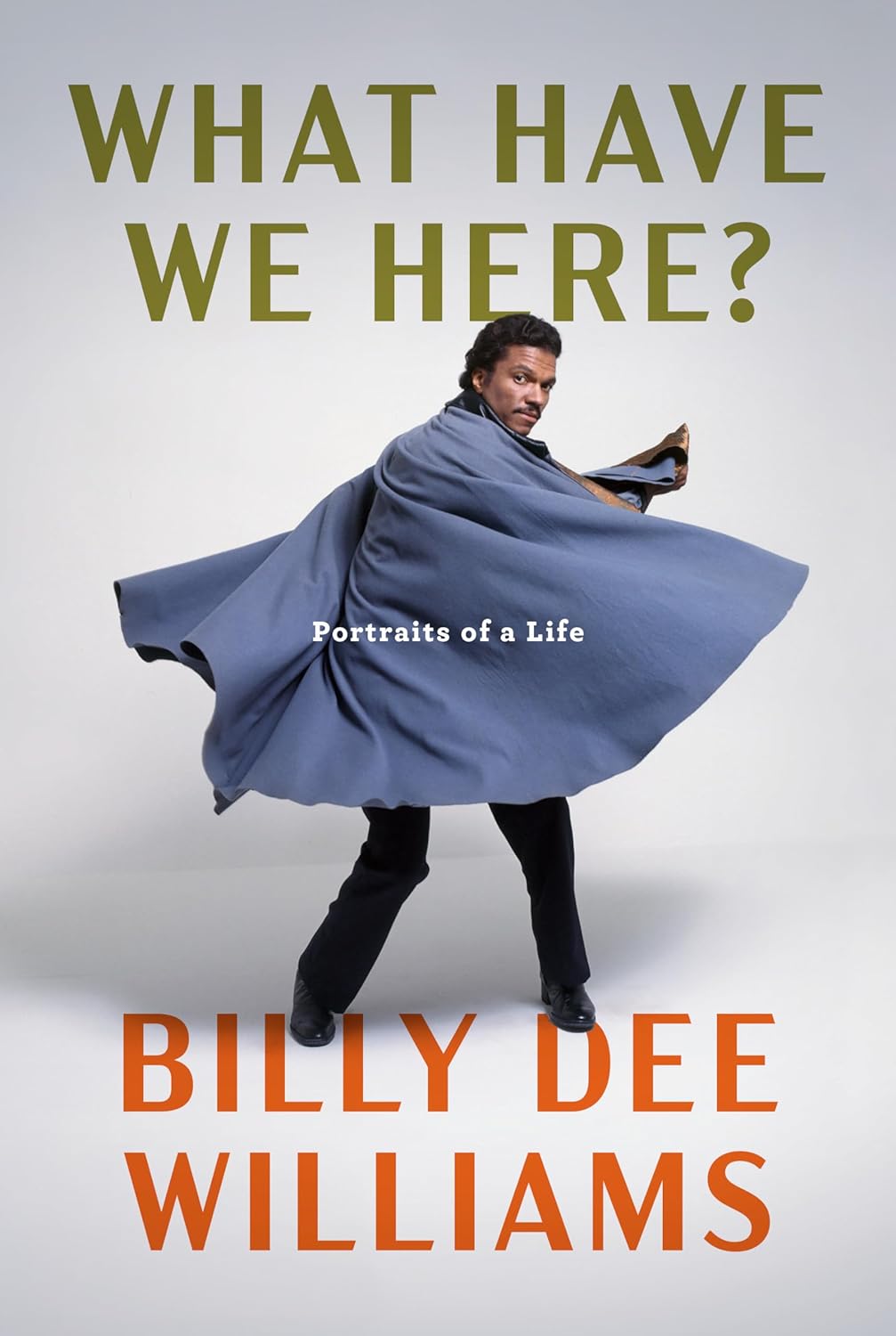 What Have We Here?: Portraits of a Life (Releases on February 13, 2024)